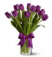 tulipanes morados en cristal
